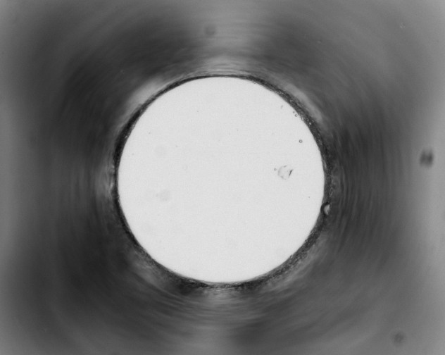 X0000103431461200810241047