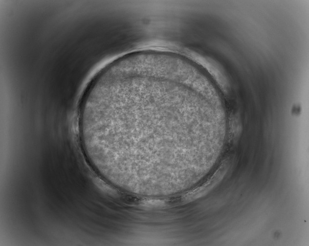 X0000103431462200810241047