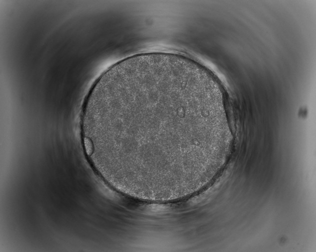 X0000103431463200810241047