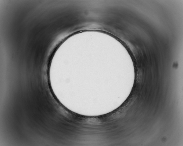 X0000103431464200810241047