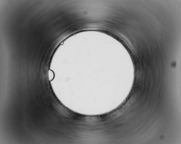 X0000103431465200810241047