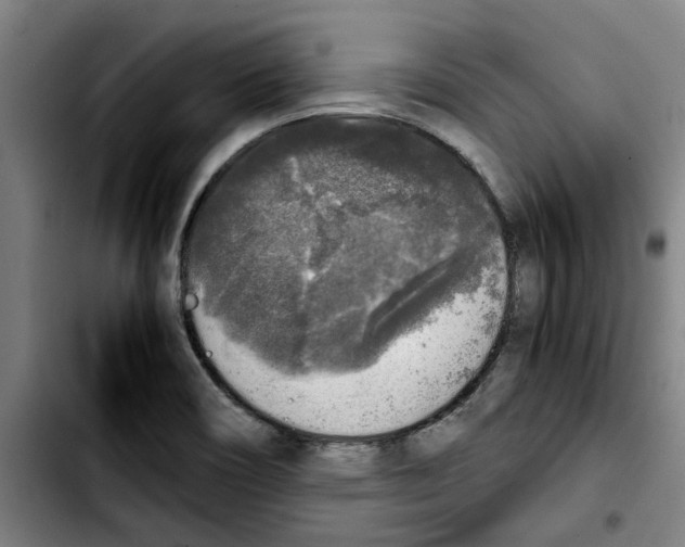 X0000103431466200810241047