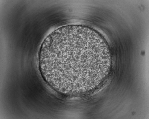 X0000103431467200810241047