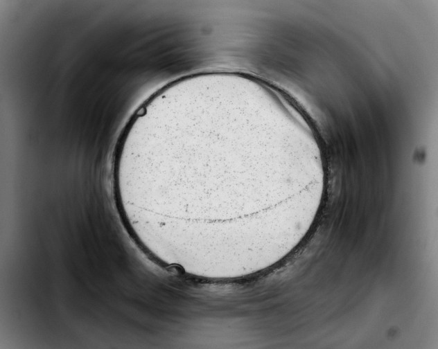 X0000103431468200810241047