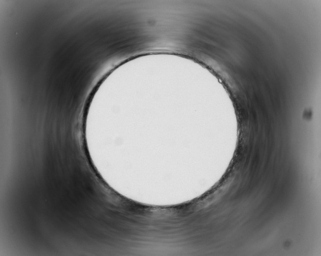 X0000103431469200810241047