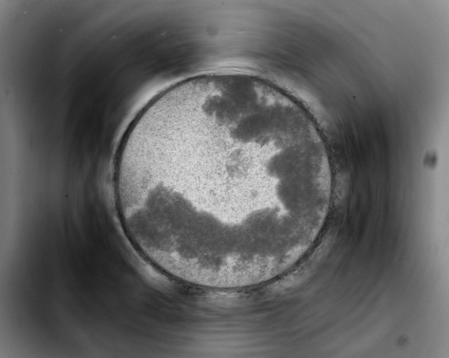 X0000103431470200810241047