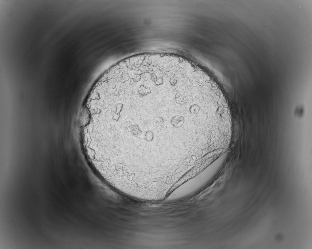 X0000103431471200810241047