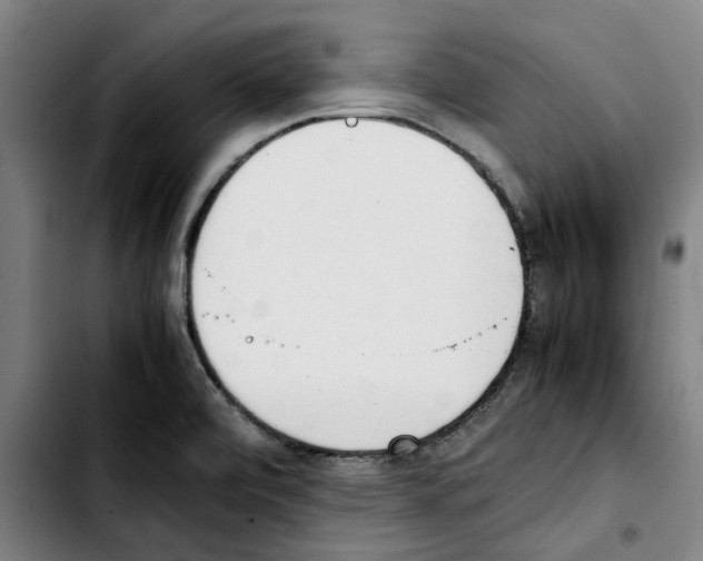 X0000103431472200810241047