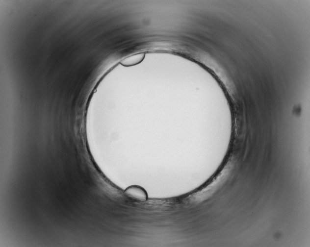 X0000103431473200810241047