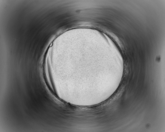X0000103431475200810241047