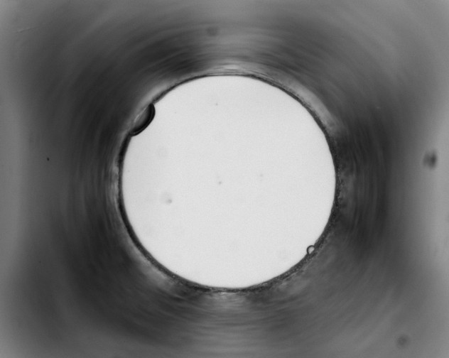 X0000103431476200810241047