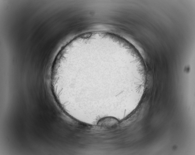X0000103431477200810241047