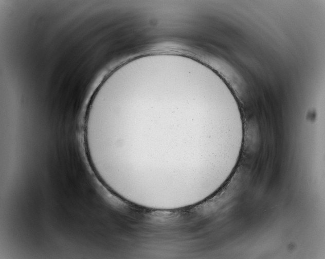 X0000103431478200810241047