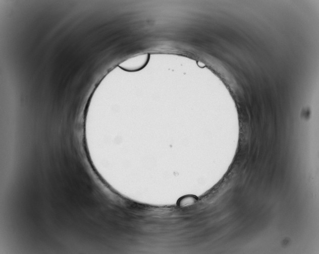 X0000103431479200810241047