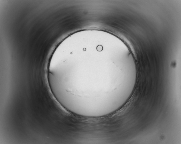 X0000103431480200810241047