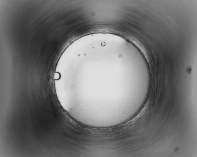 X0000103431481200810241047