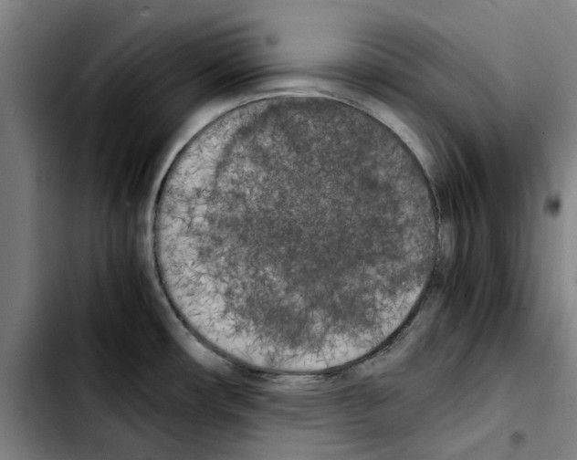 X0000103431482200810241047
