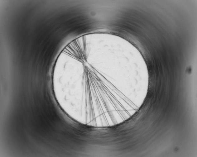 X0000103431483200810241047