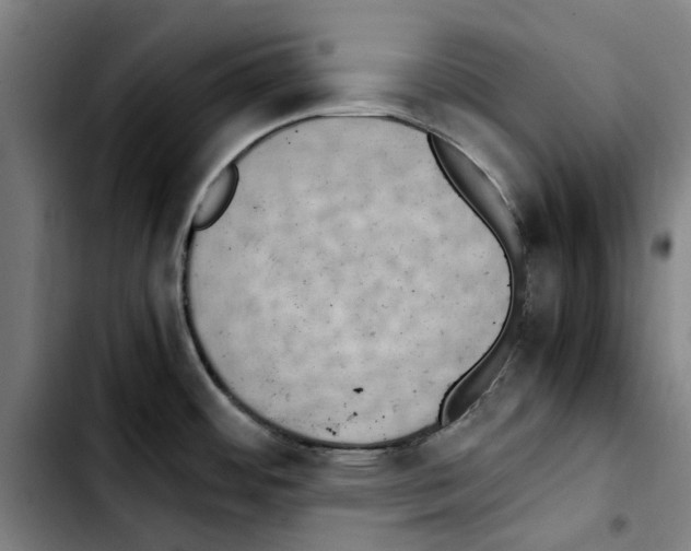 X0000103431484200810241047