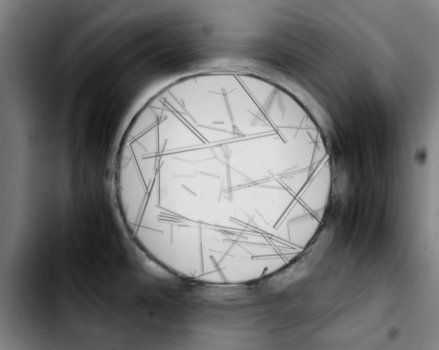 X0000103431486200810241047