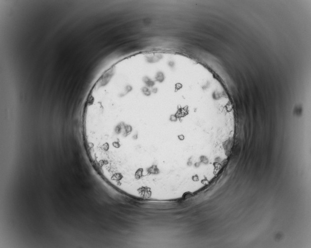 X0000103431487200810241047