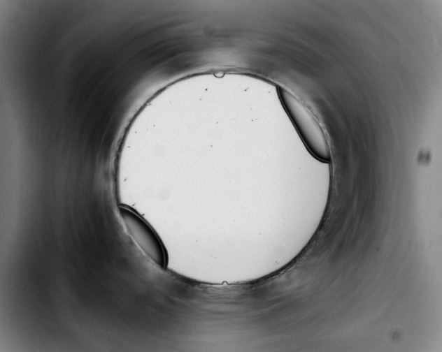 X0000103431488200810241047