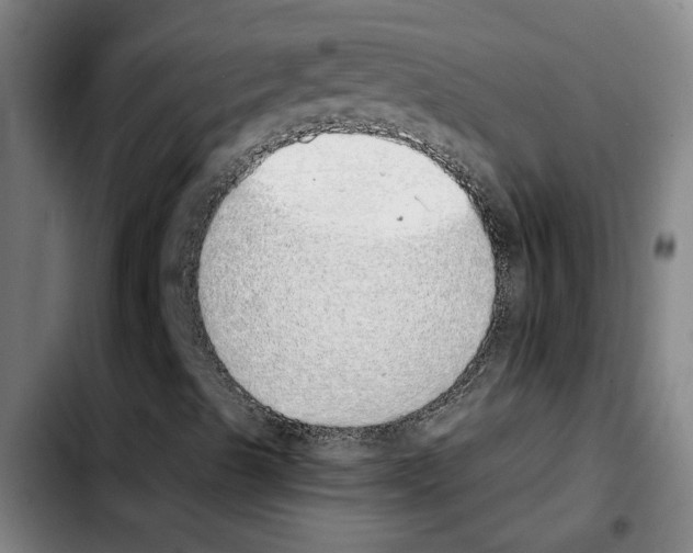 X0000103431489200810241046