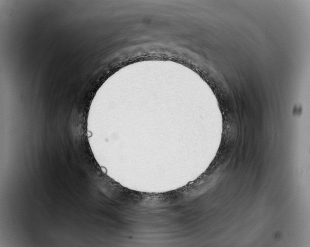 X0000103431490200810241046