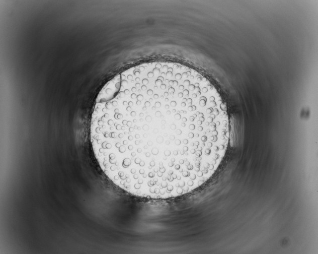 X0000103431491200810241046
