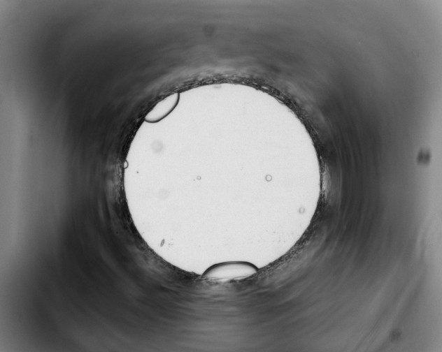 X0000103431492200810241046