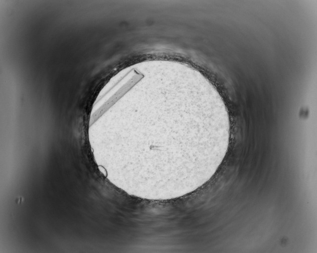 X0000103431493200810241046