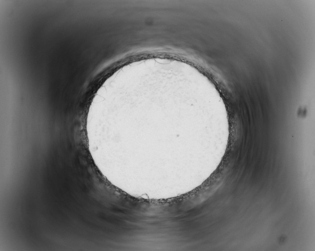 X0000103431494200810241046