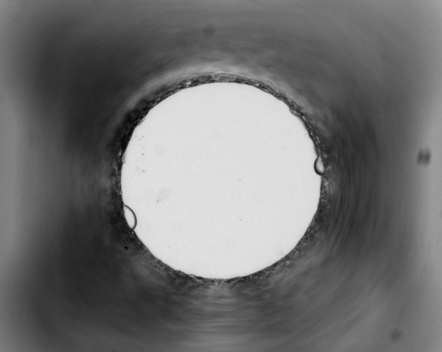 X0000103431495200810241046