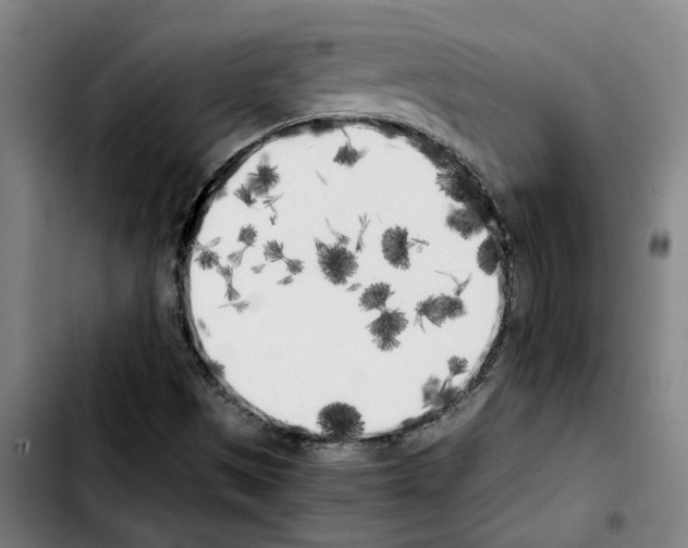 X0000103431497200810241046