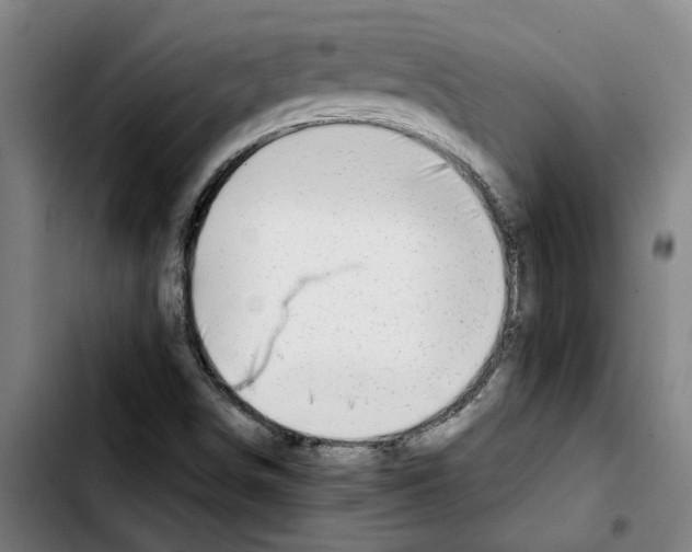 X0000103431498200810241046