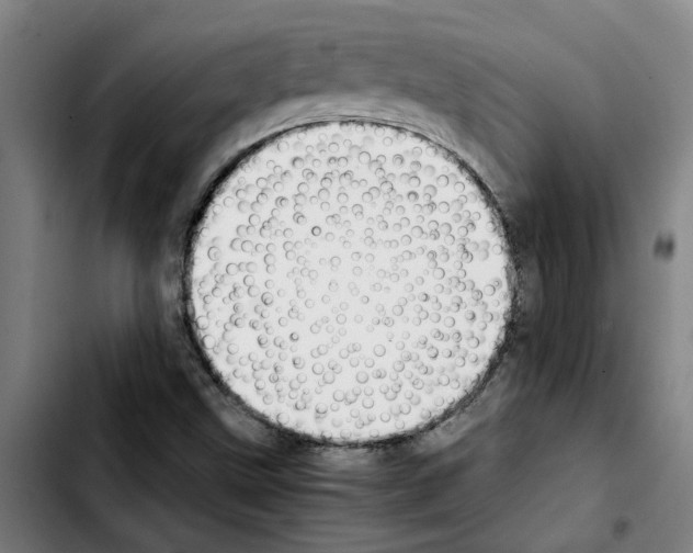 X0000103431499200810241046