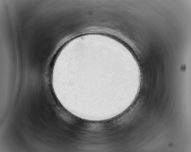 X0000103431501200810241046