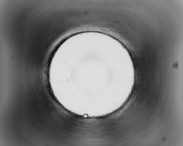 X0000103431502200810241046