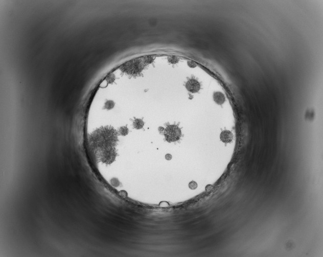 X0000103431504200810241046