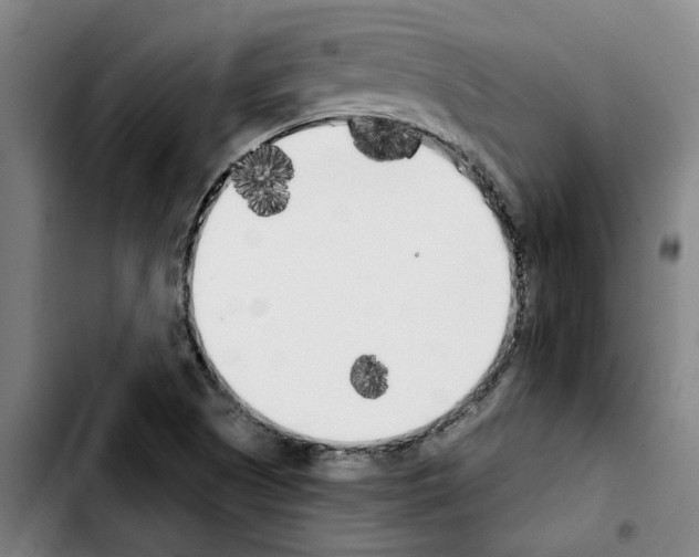 X0000103431505200810241046