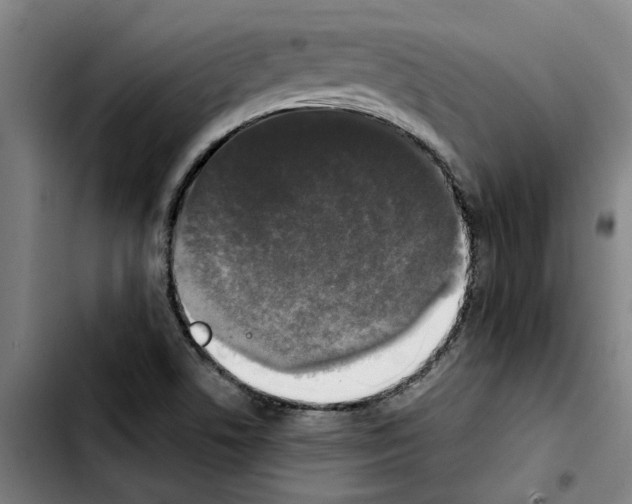 X0000103431506200810241046