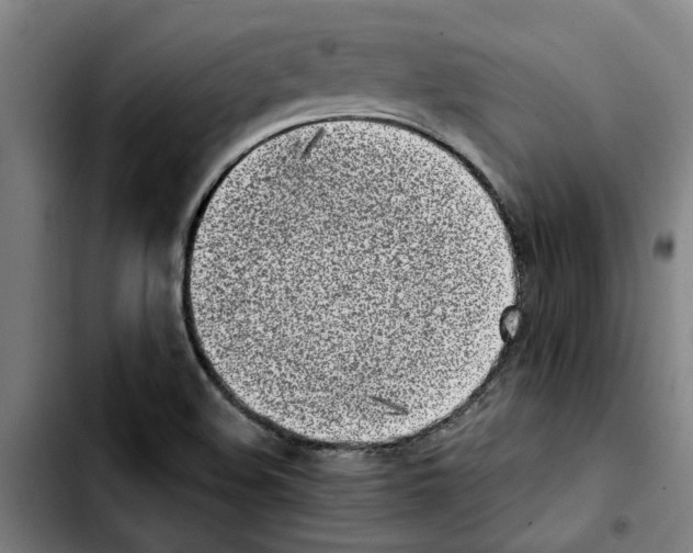 X0000103431508200810241046