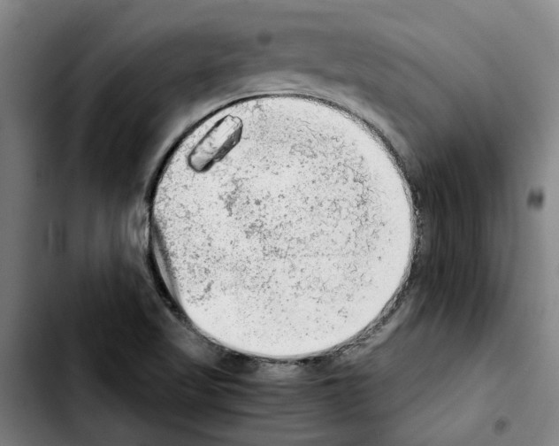 X0000103431509200810241046