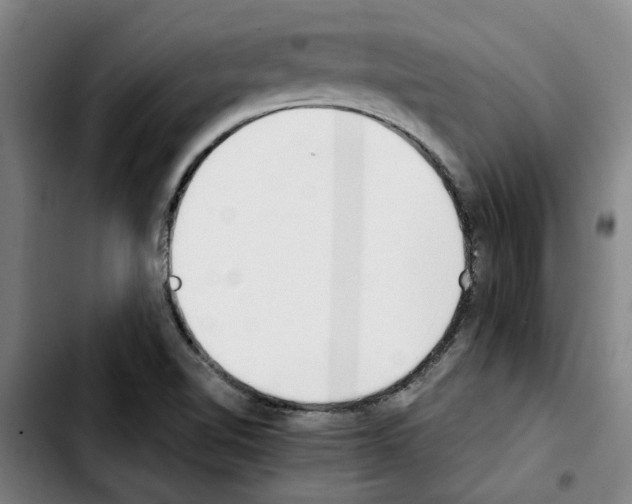X0000103431510200810241046