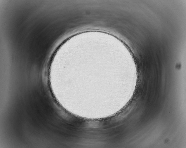 X0000103431511200810241046