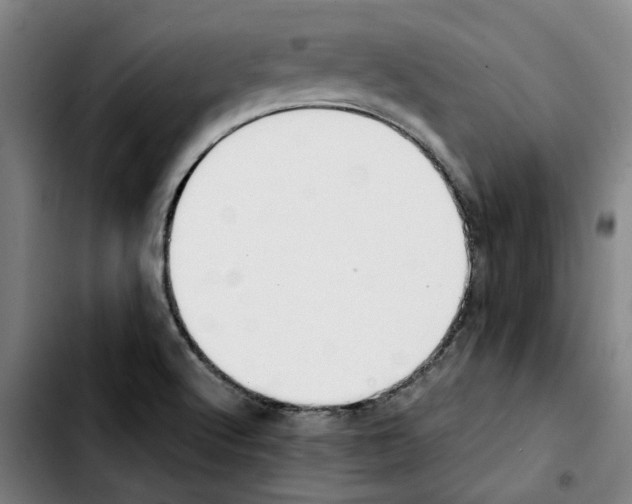 X0000103431512200810241046