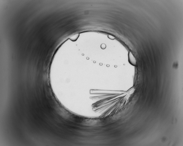 X0000103431513200810241046