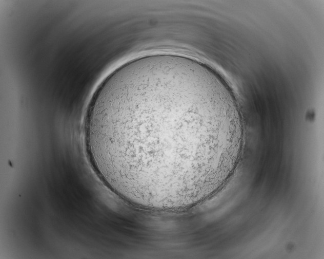 X0000103431514200810241046
