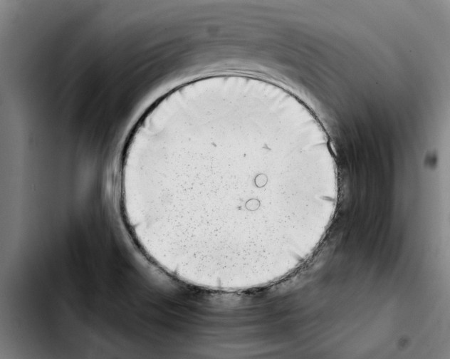X0000103431515200810241046