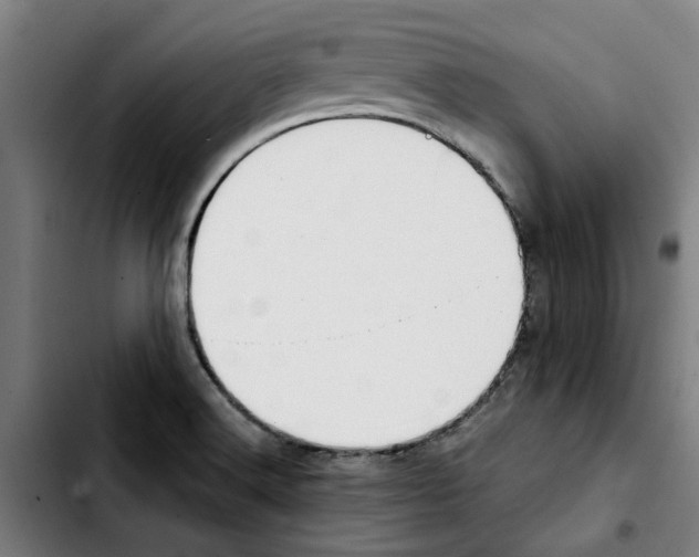 X0000103431516200810241046